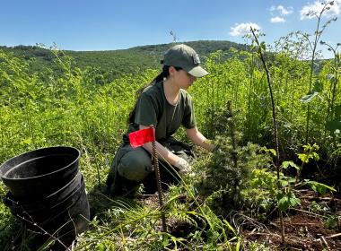 Курсанты камчатского Центра «ВОИН» приняли участие в акции «Сад памяти»